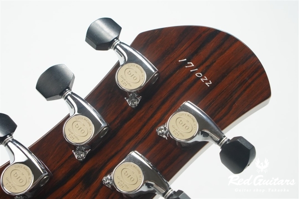 Grain Arched – Hard Rock Maple TOP / Honduras Mahogany Jacaranda - Natural